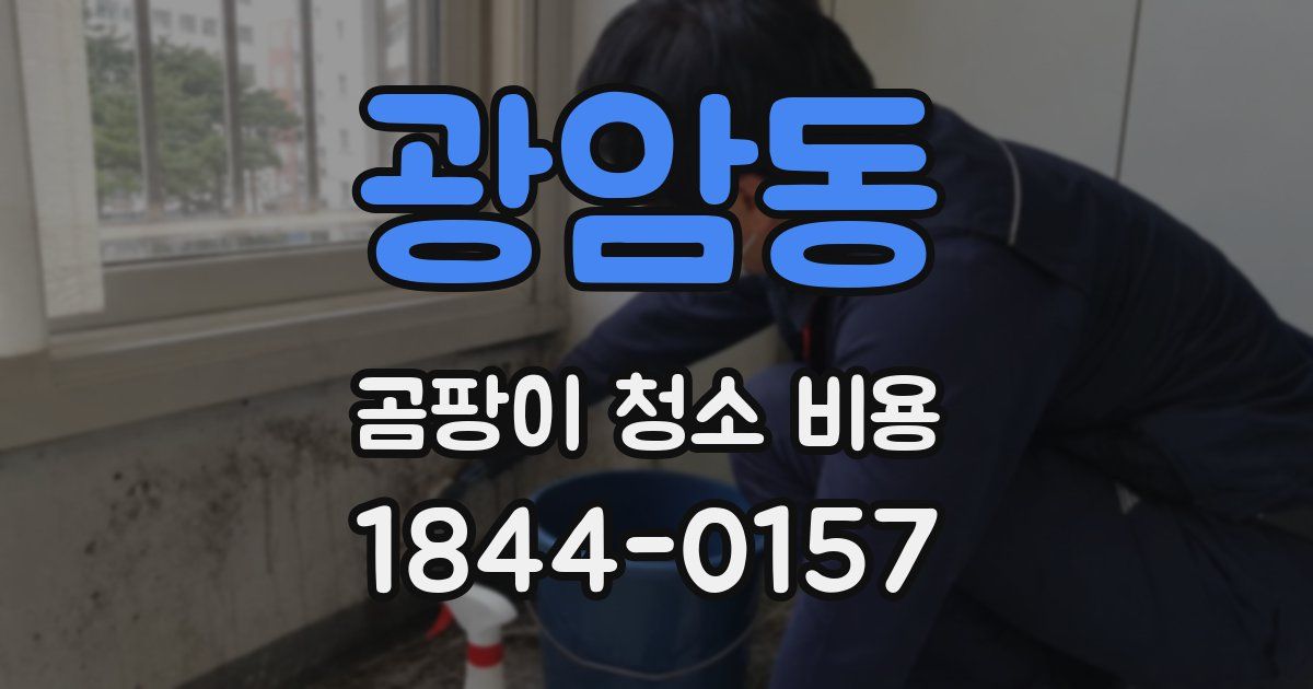 광암동 곰팡이 청소 비용