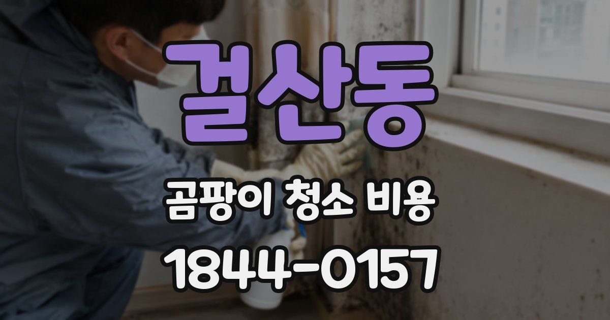 걸산동 곰팡이 청소 비용