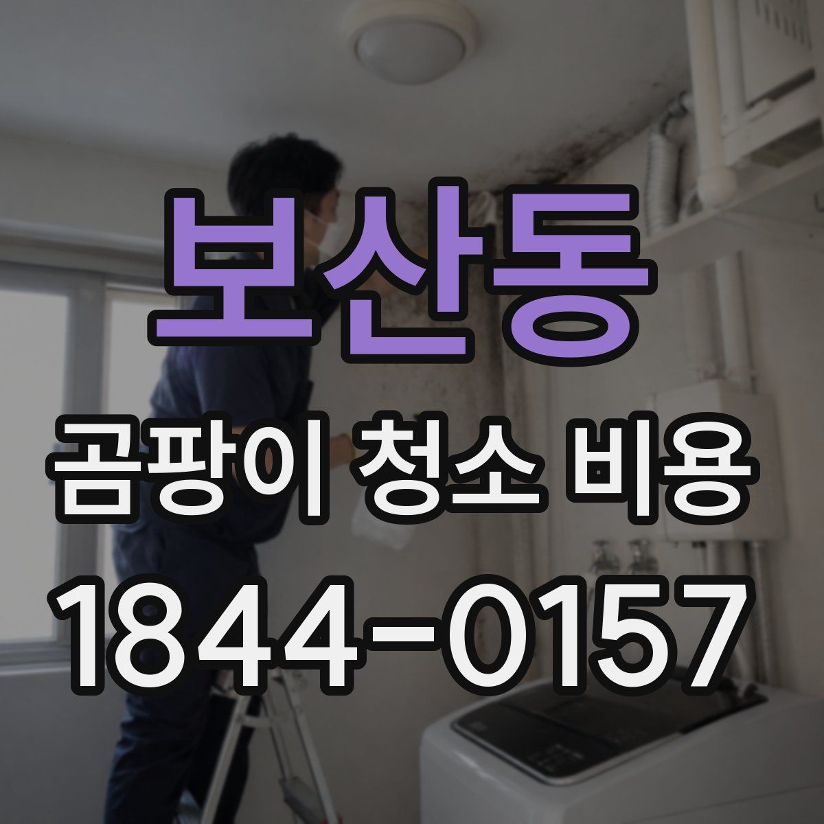 보산동 곰팡이 청소 비용