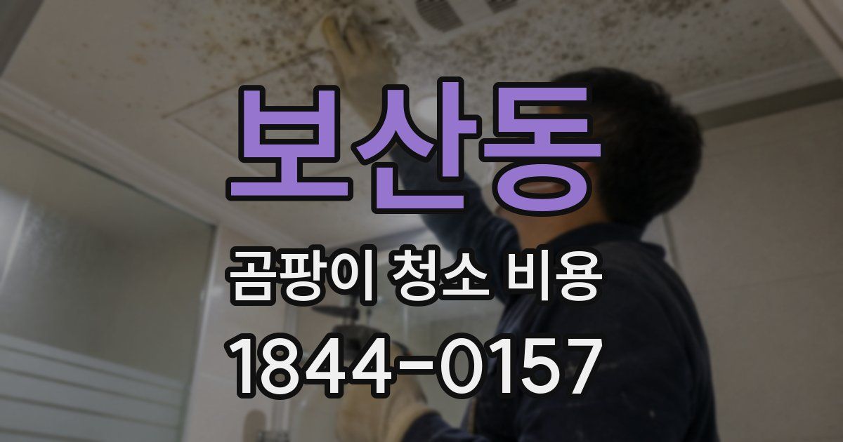 보산동 곰팡이 청소 비용
