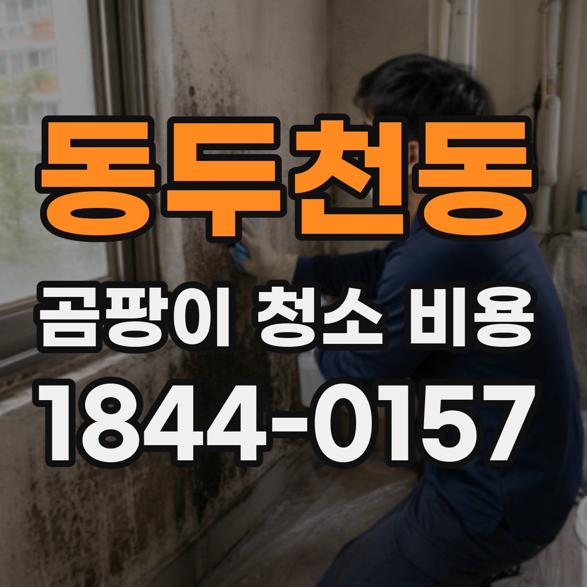동두천동 곰팡이 청소 비용