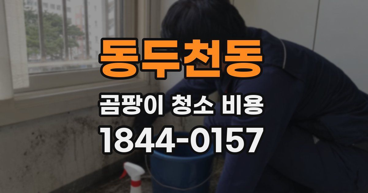 동두천동 곰팡이 청소 비용