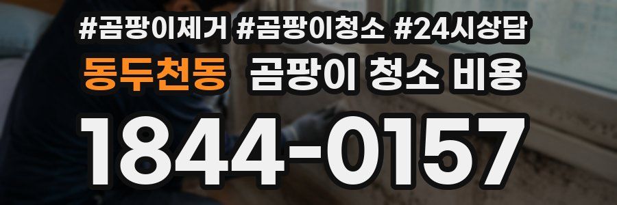 동두천동 곰팡이 청소 비용