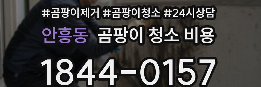 안흥동 곰팡이 청소 비용