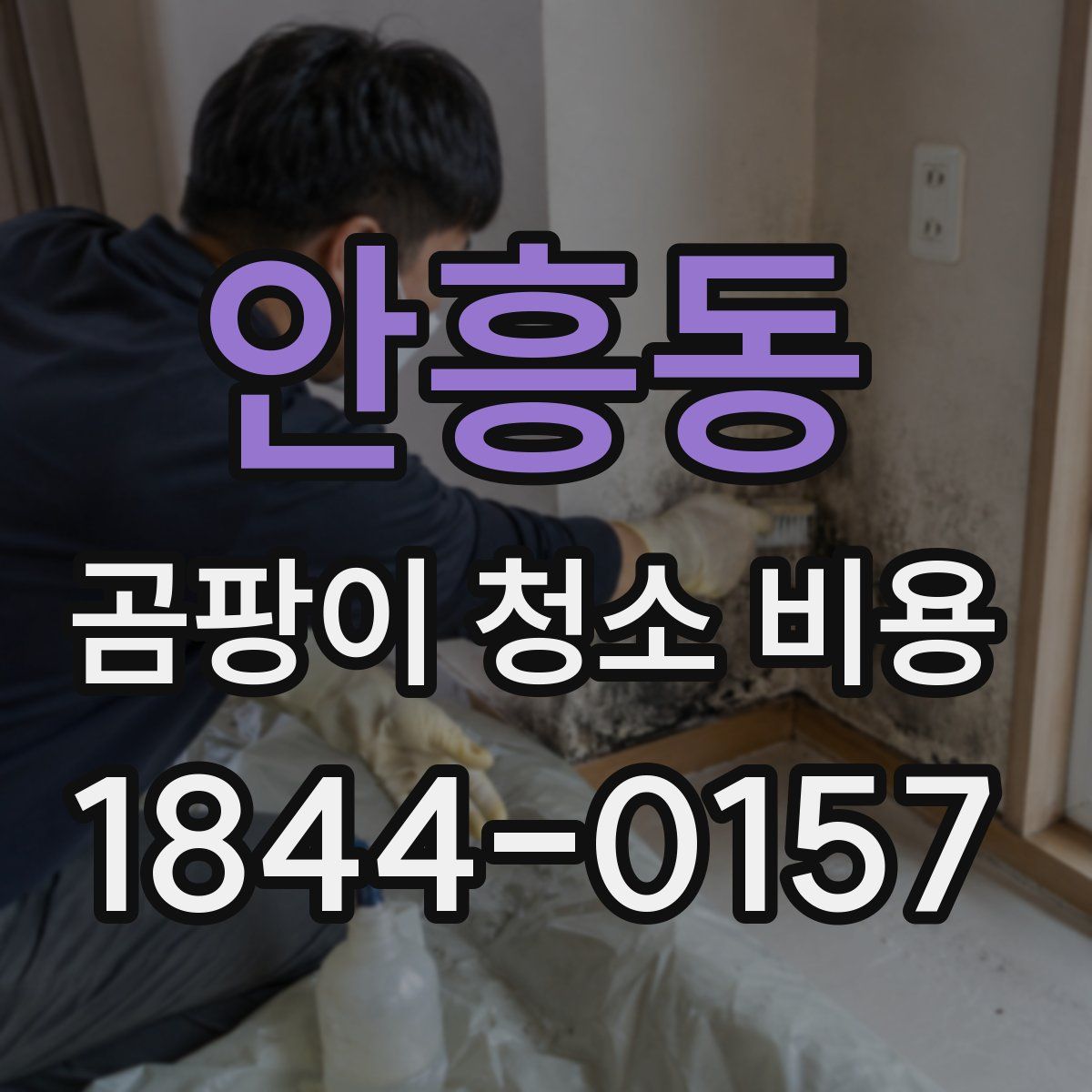 안흥동 곰팡이 청소 비용