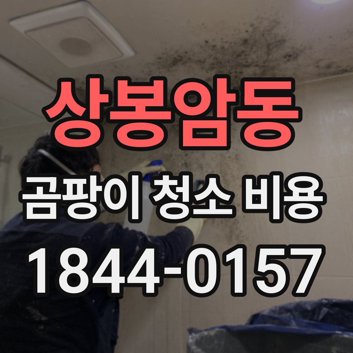상봉암동 곰팡이 청소 비용