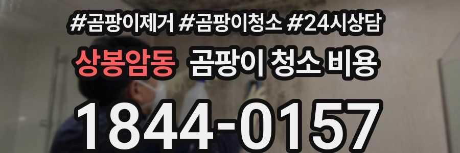 상봉암동 곰팡이 청소 비용
