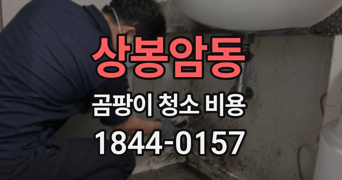 상봉암동 곰팡이 청소 비용