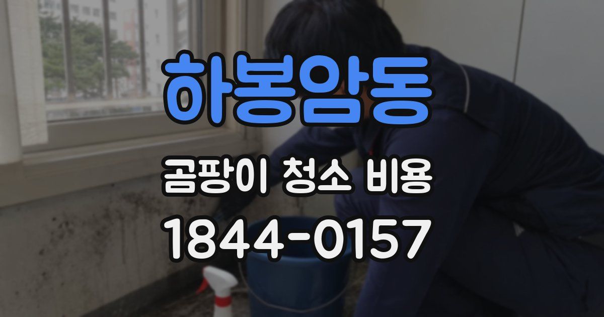 하봉암동 곰팡이 청소 비용