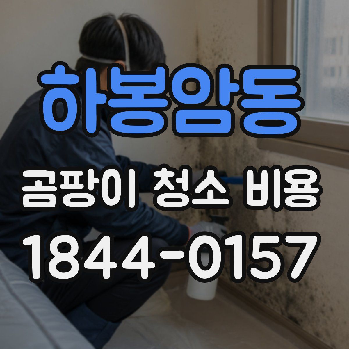 하봉암동 곰팡이 청소 비용