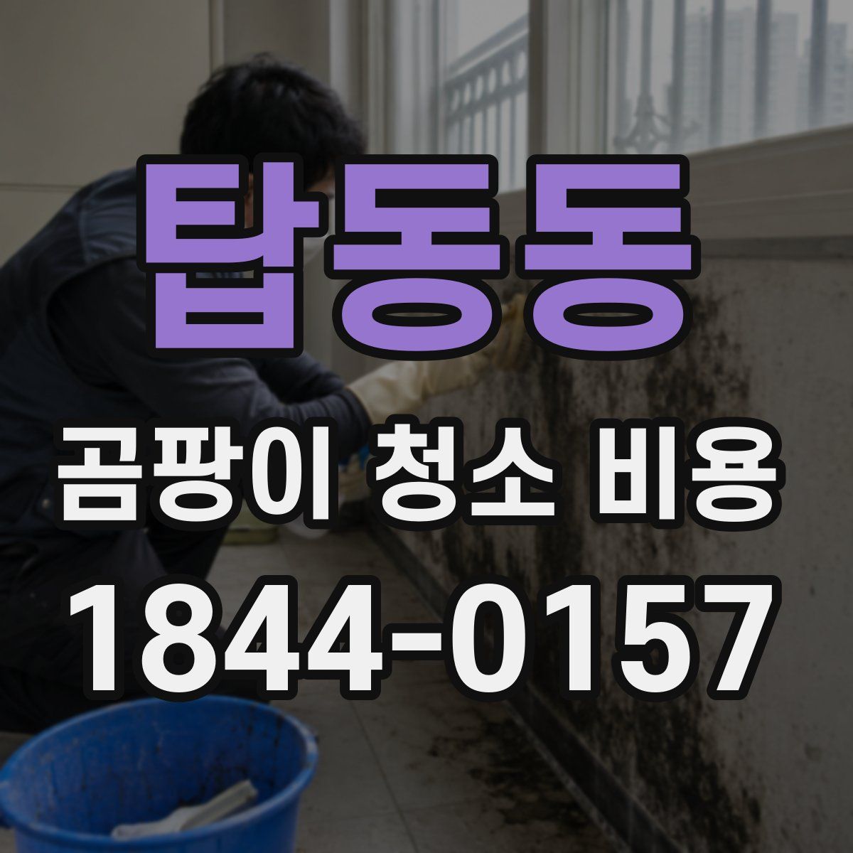 탑동동 곰팡이 청소 비용