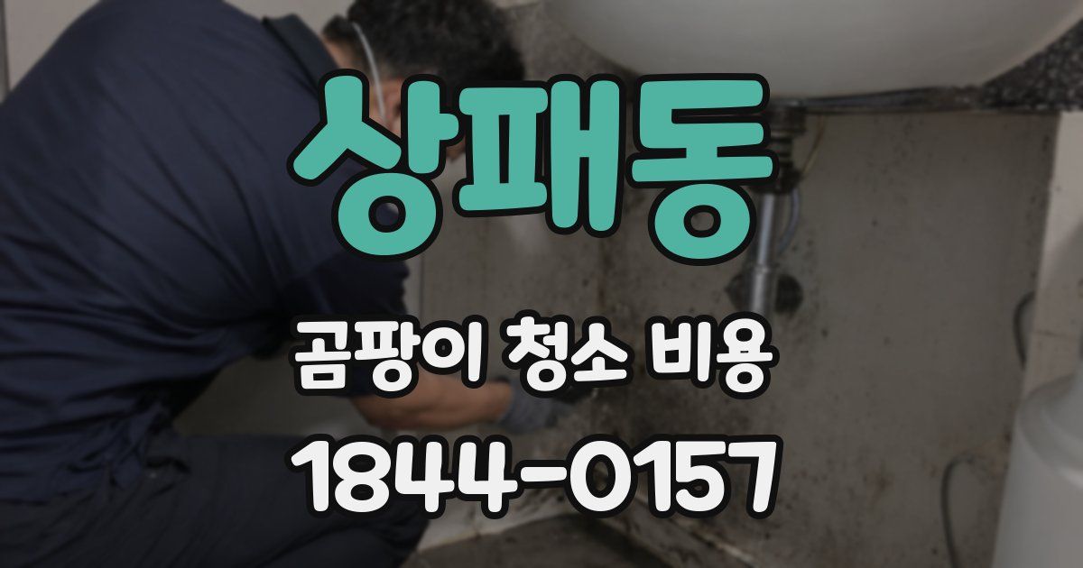 상패동 곰팡이 청소 비용