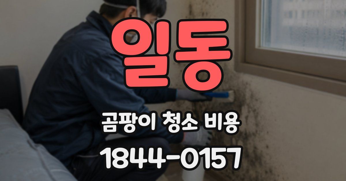일동 곰팡이 청소 비용