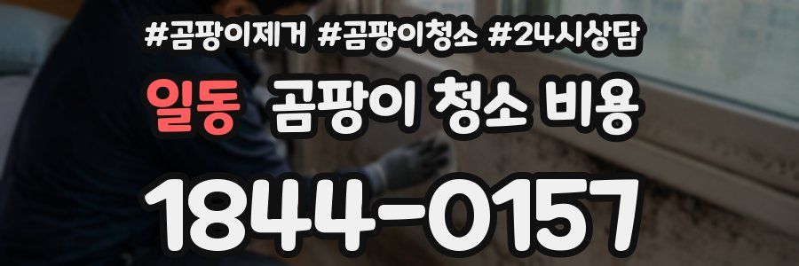 일동 곰팡이 청소 비용