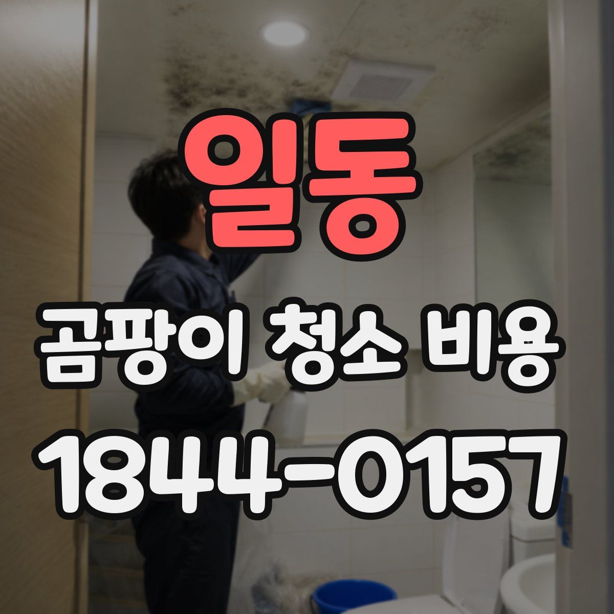 일동 곰팡이 청소 비용