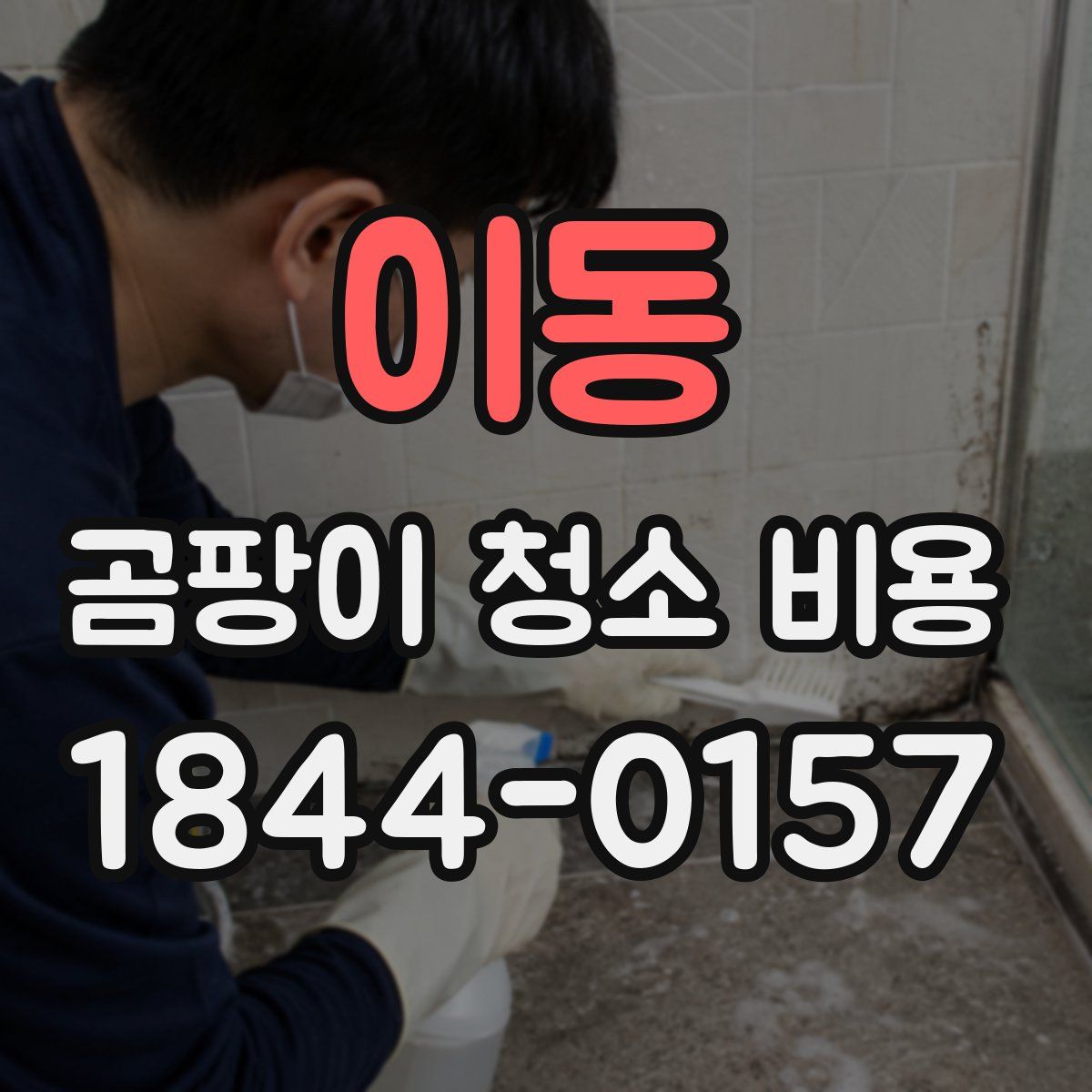 이동 곰팡이 청소 비용