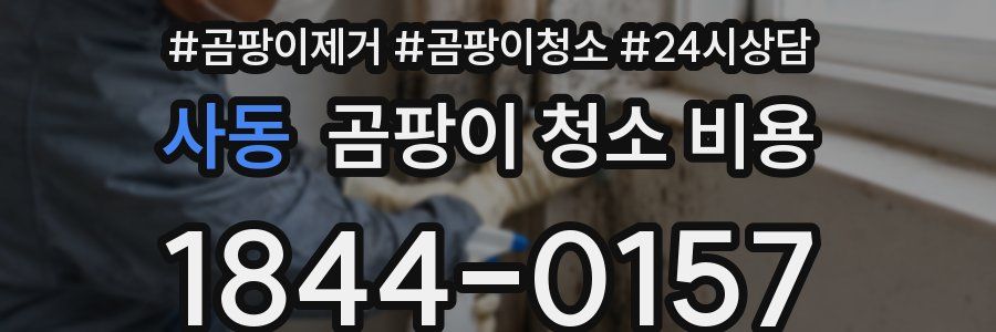 사동 곰팡이 청소 비용
