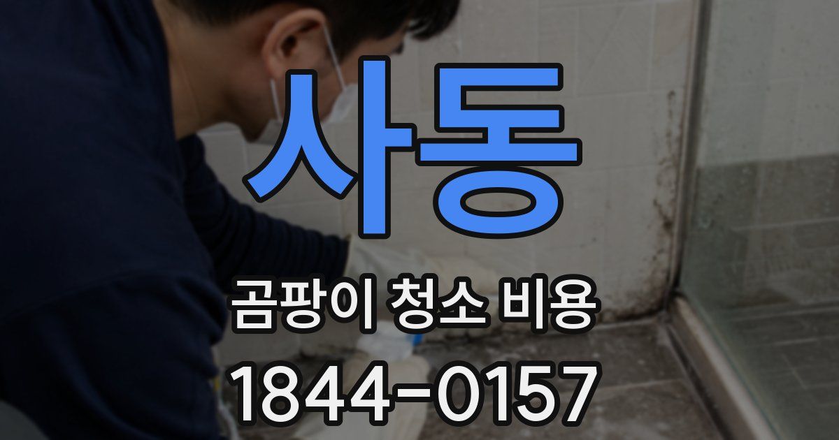 사동 곰팡이 청소 비용