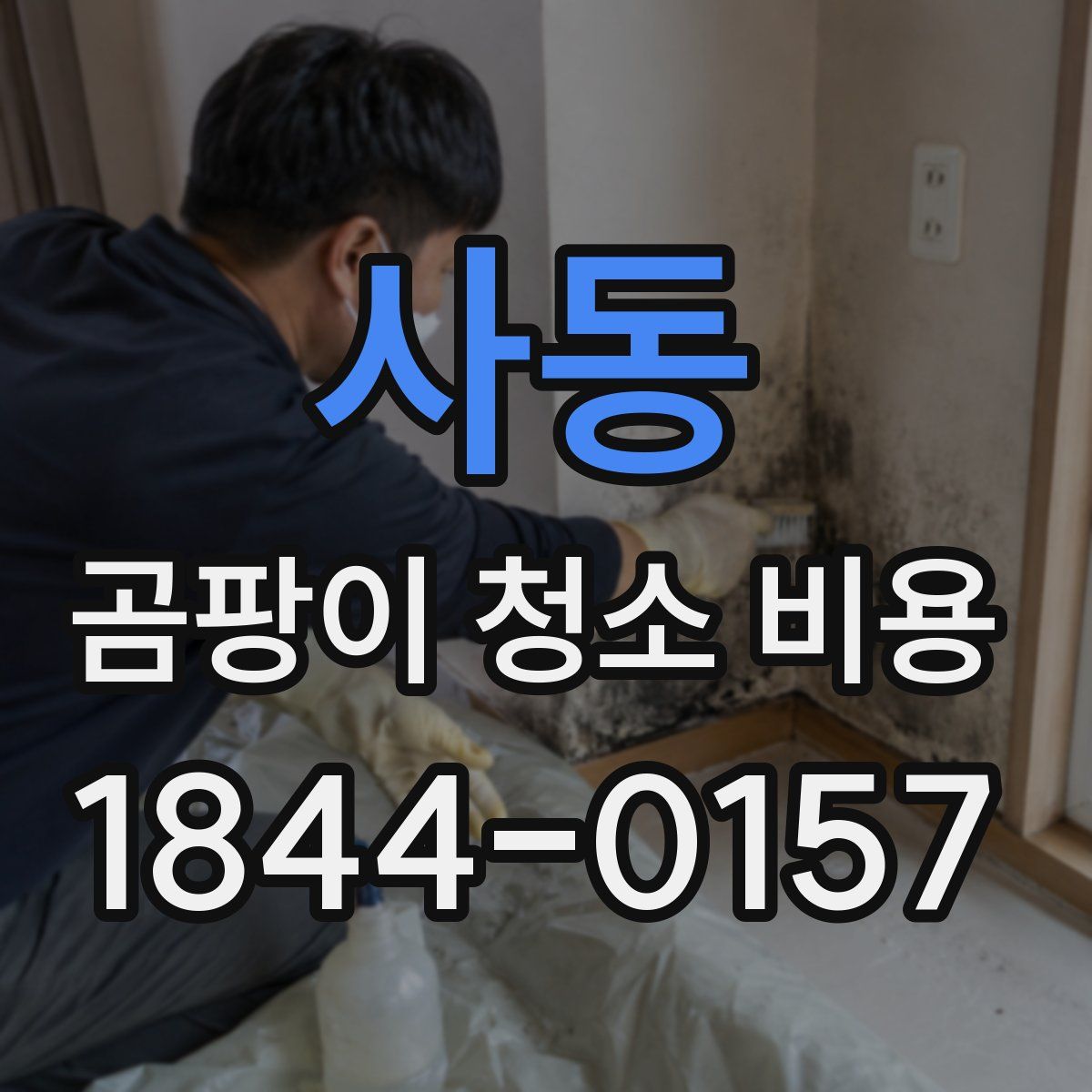 사동 곰팡이 청소 비용