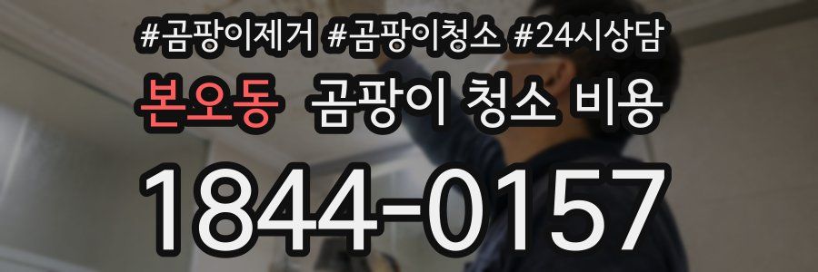 본오동 곰팡이 청소 비용