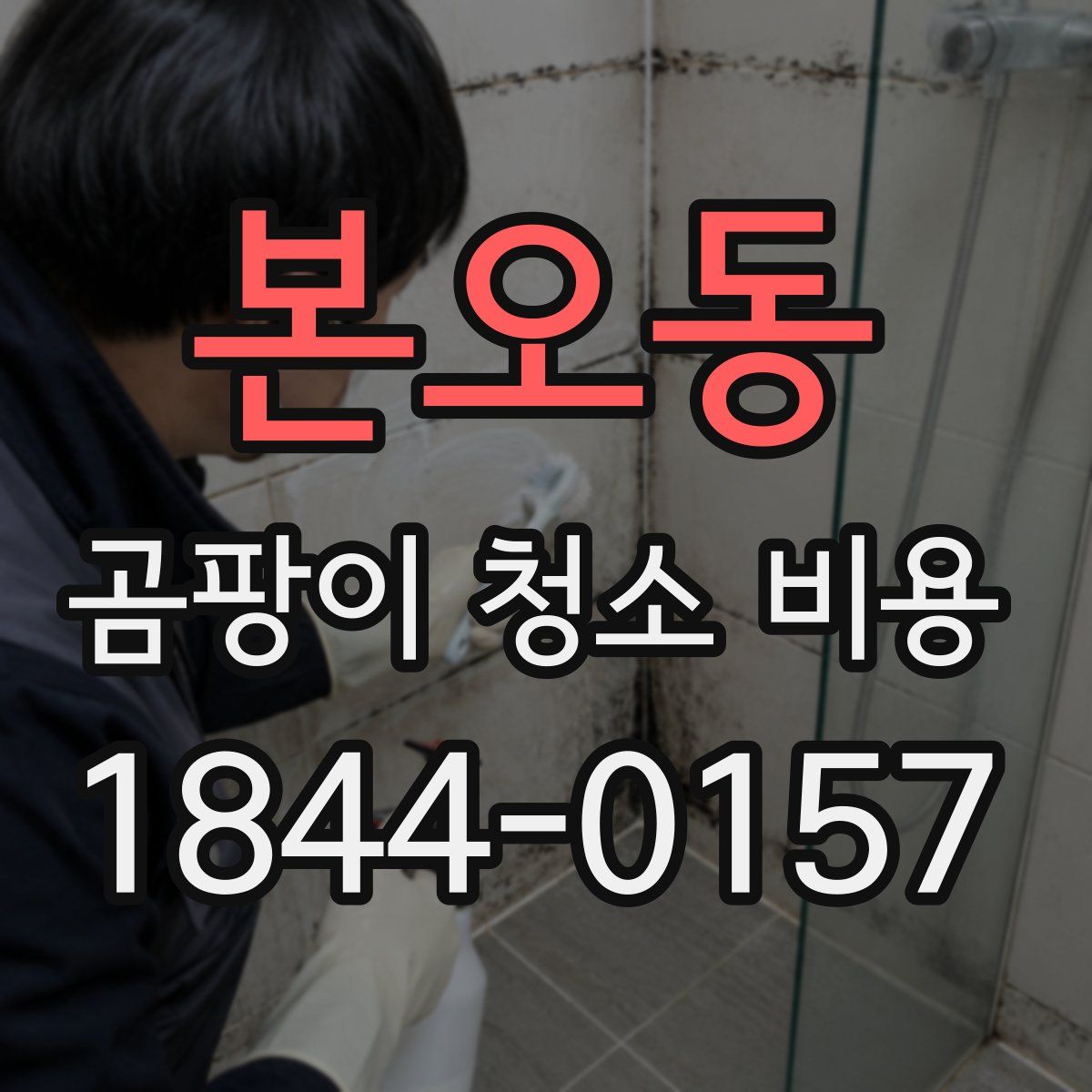 본오동 곰팡이 청소 비용