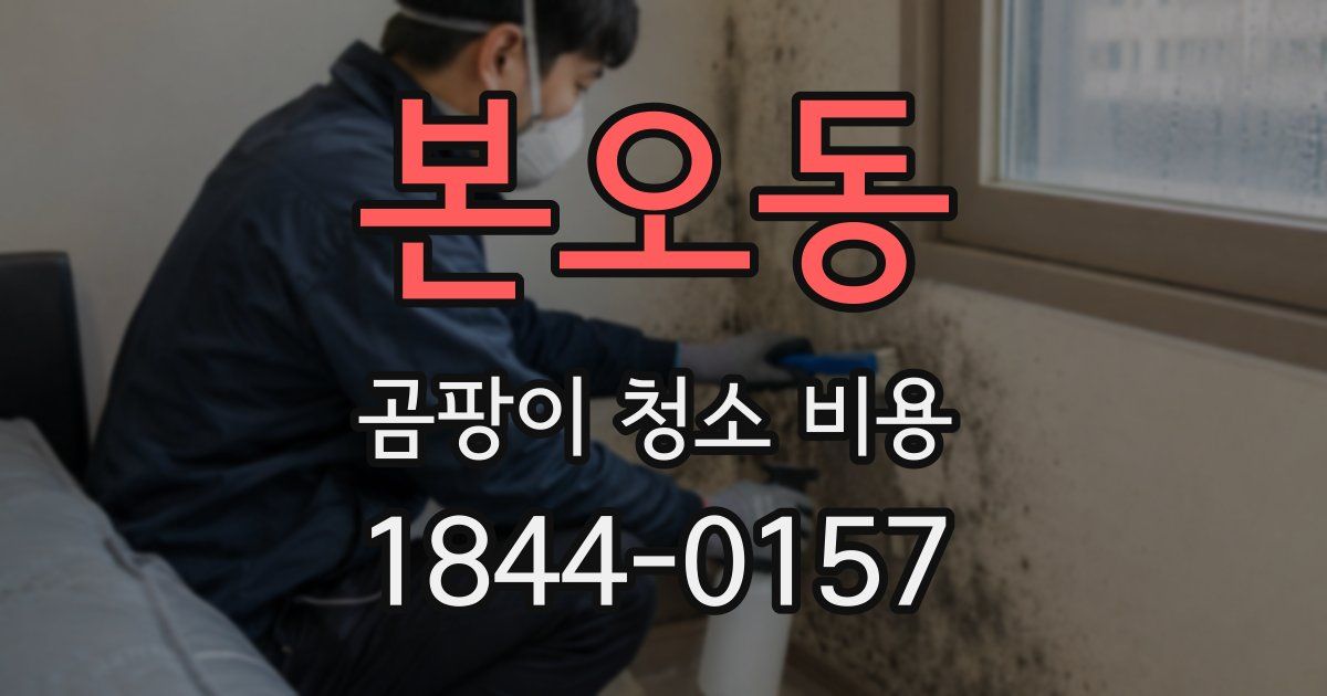 본오동 곰팡이 청소 비용