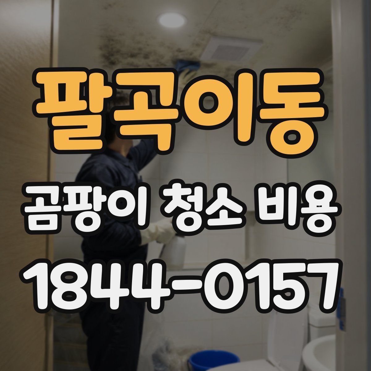 팔곡이동 곰팡이 청소 비용