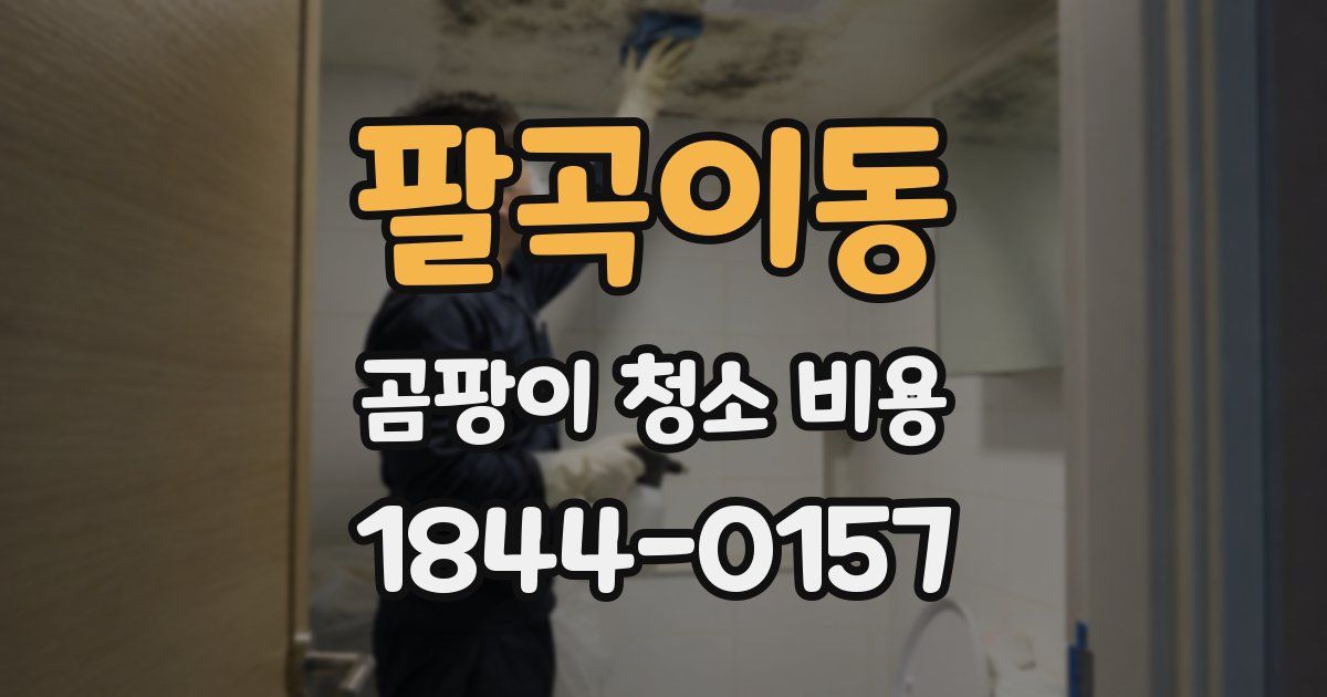 팔곡이동 곰팡이 청소 비용