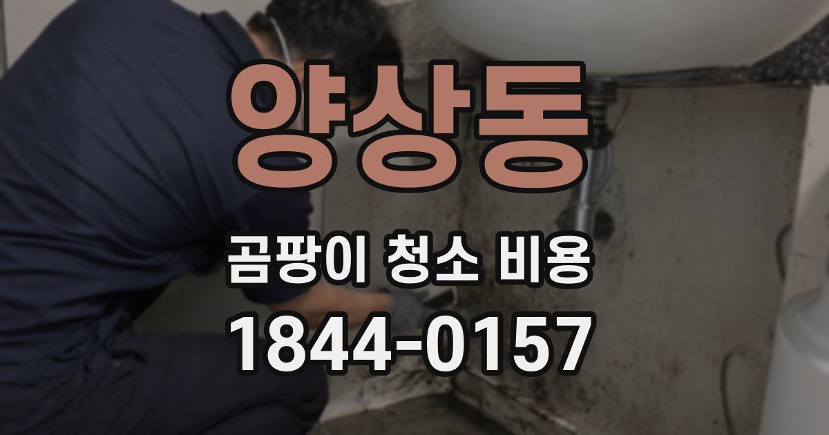 양상동 곰팡이 청소 비용