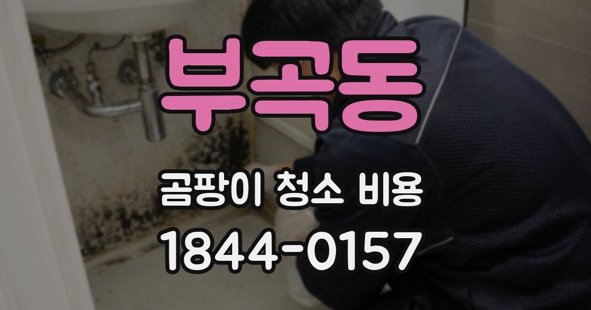 부곡동 곰팡이 청소 비용