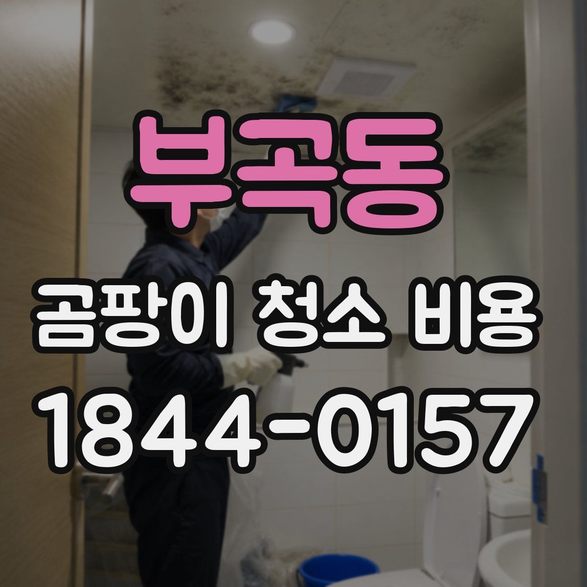 부곡동 곰팡이 청소 비용