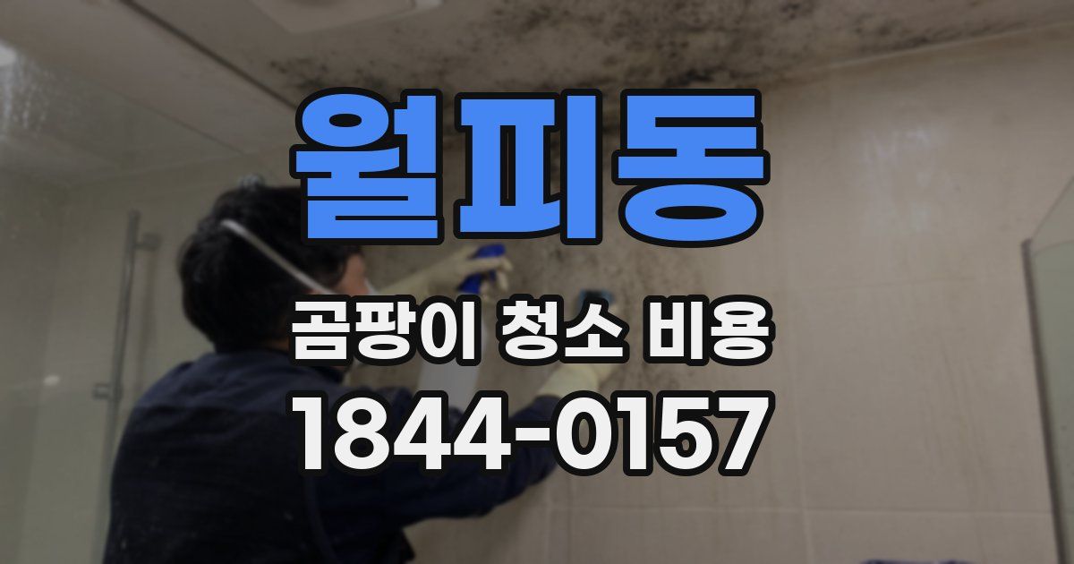 월피동 곰팡이 청소 비용