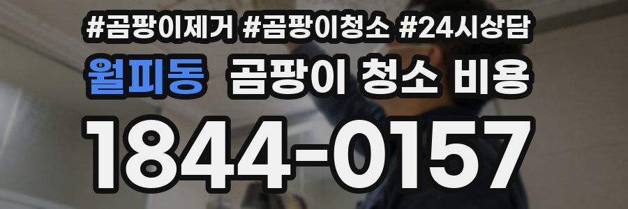월피동 곰팡이 청소 비용