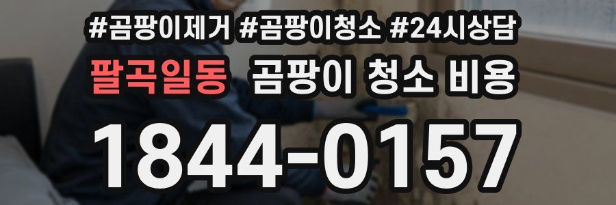 팔곡일동 곰팡이 청소 비용