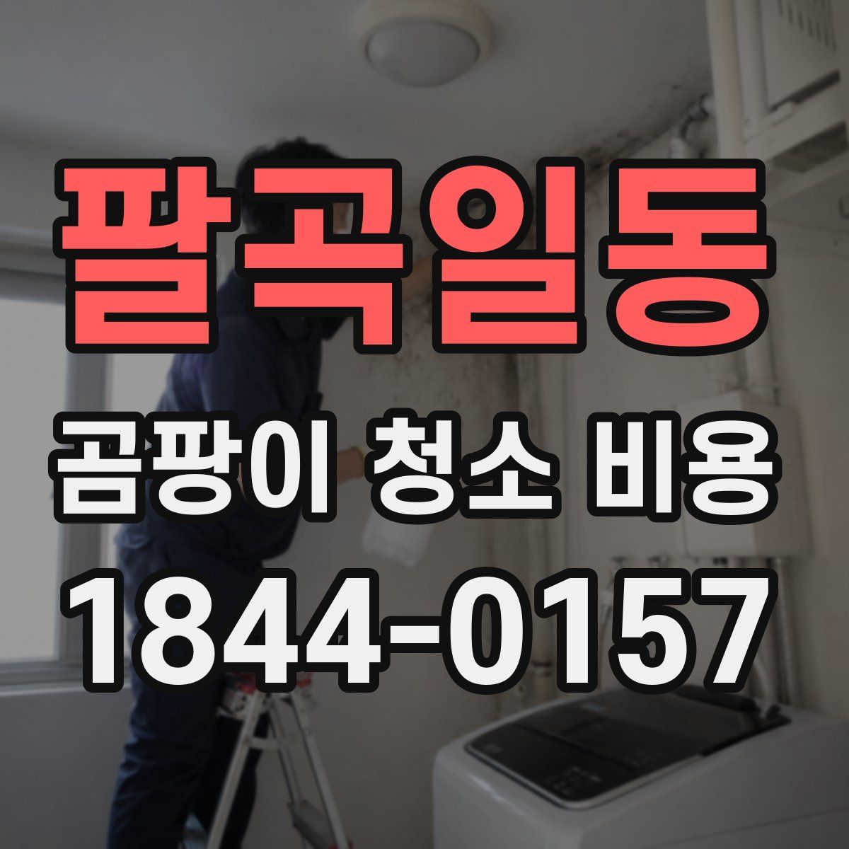 팔곡일동 곰팡이 청소 비용