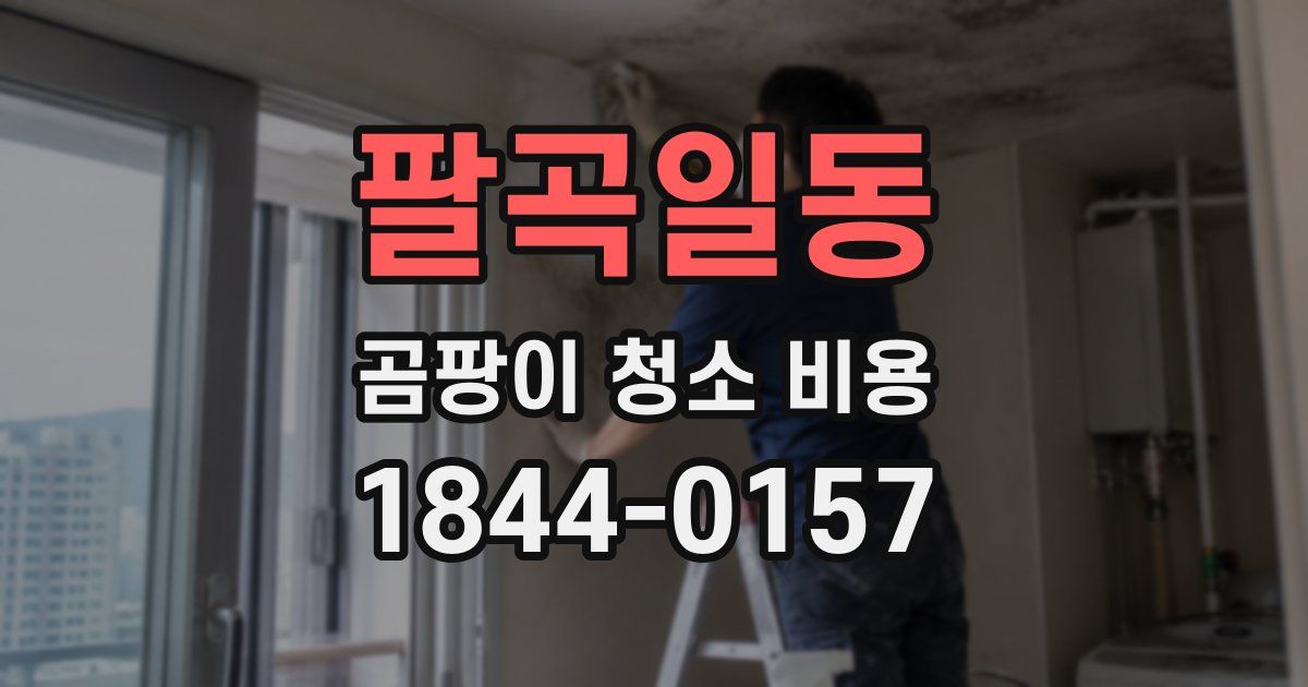 팔곡일동 곰팡이 청소 비용