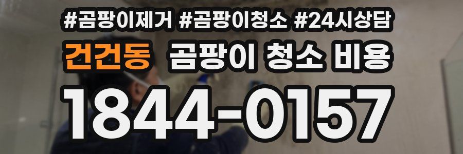 건건동 곰팡이 청소 비용