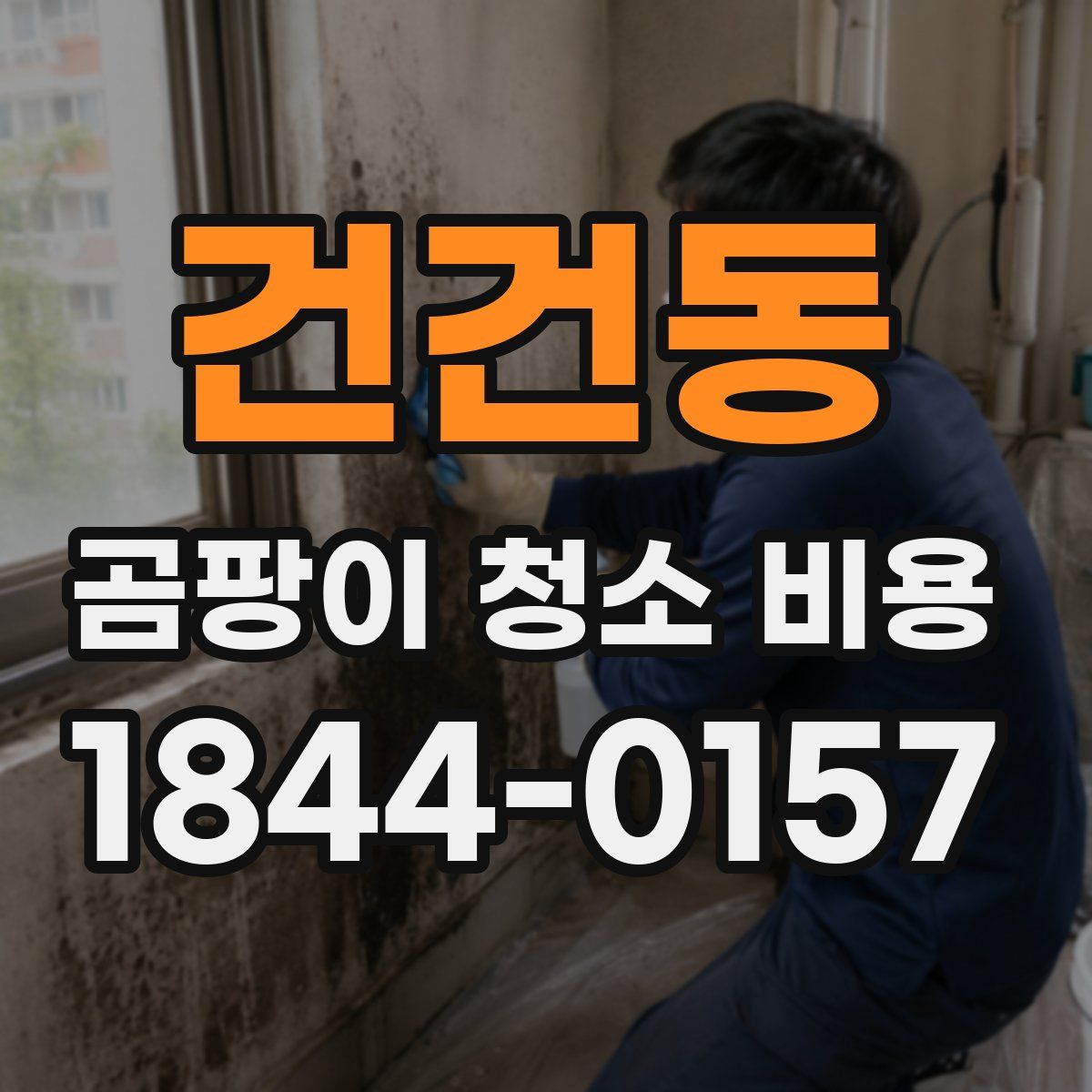 건건동 곰팡이 청소 비용