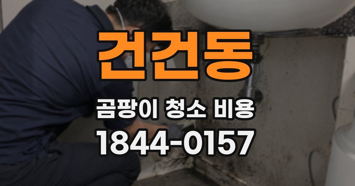 건건동 곰팡이 청소 비용