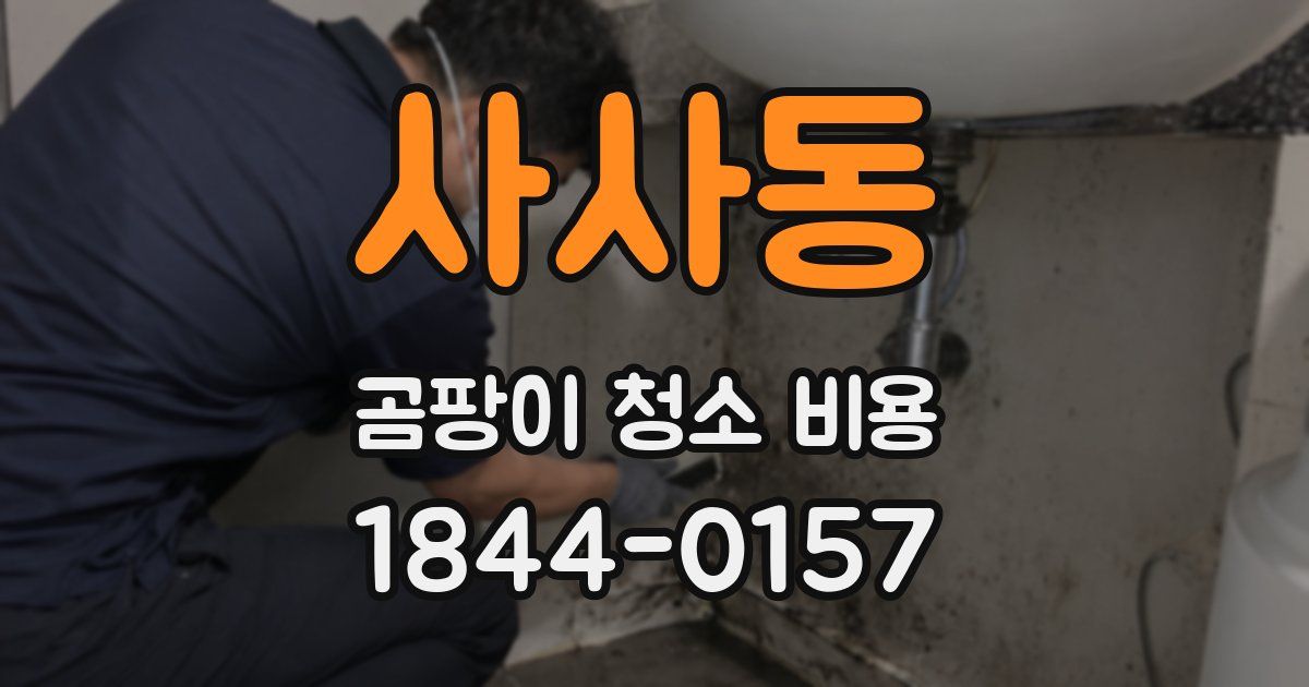 사사동 곰팡이 청소 비용