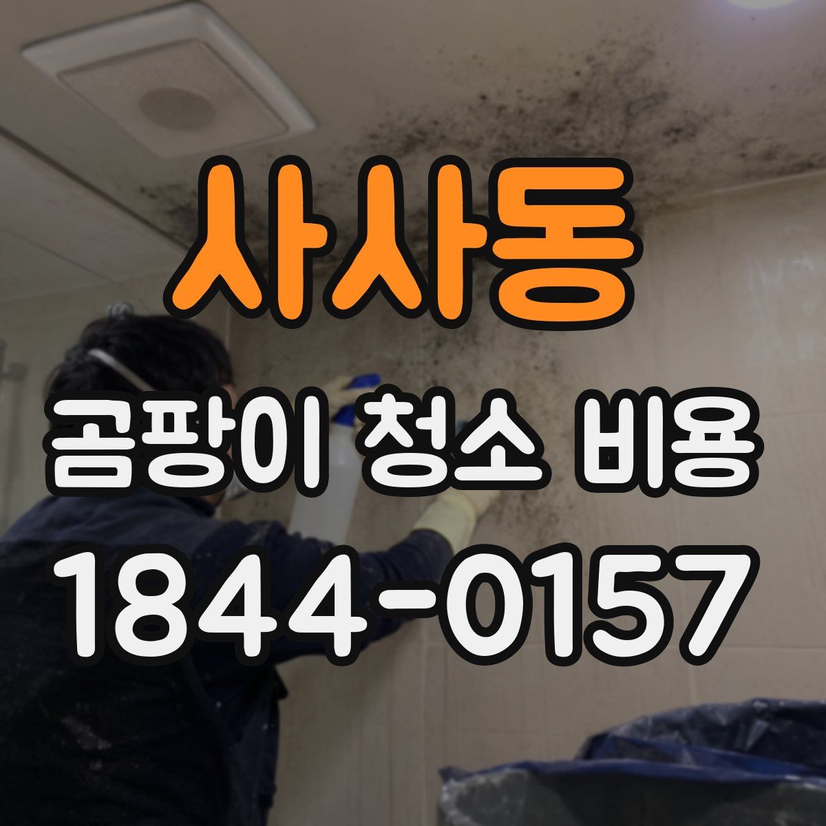 사사동 곰팡이 청소 비용