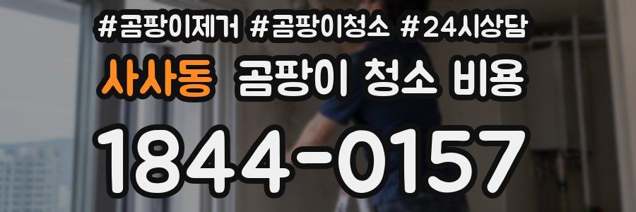 사사동 곰팡이 청소 비용