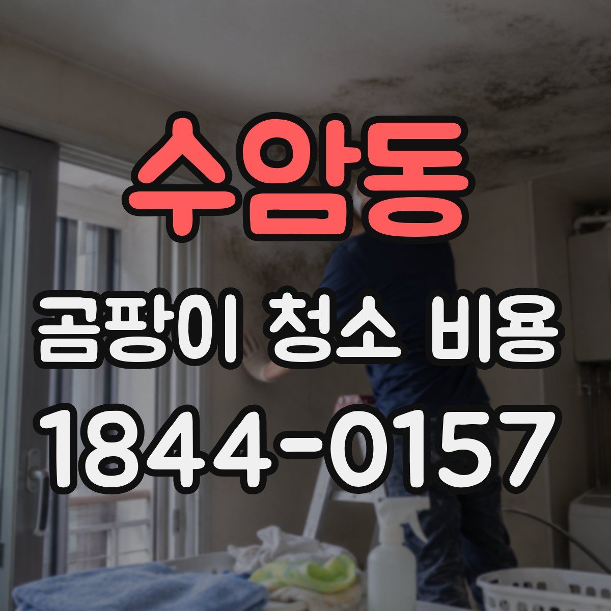 수암동 곰팡이 청소 비용