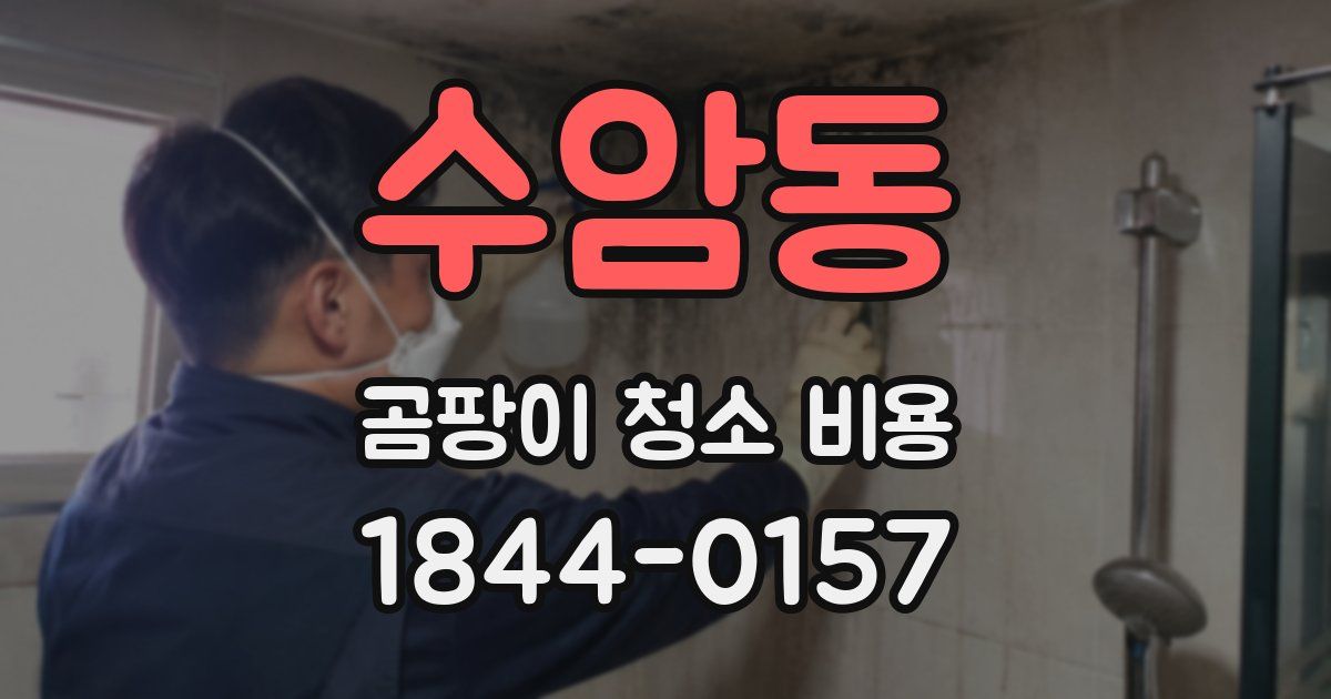 수암동 곰팡이 청소 비용
