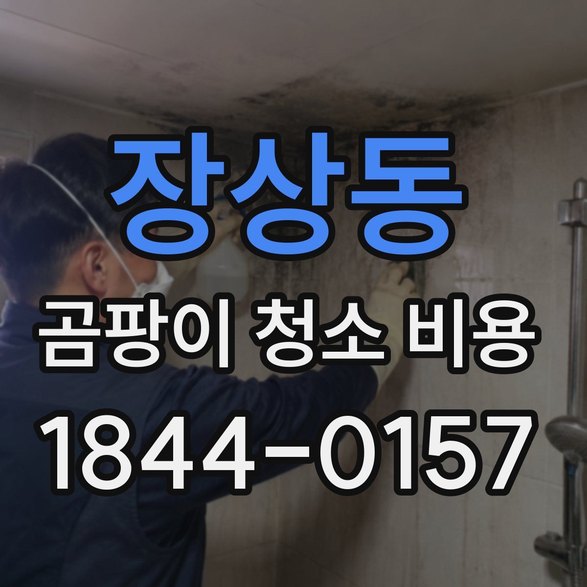 장상동 곰팡이 청소 비용