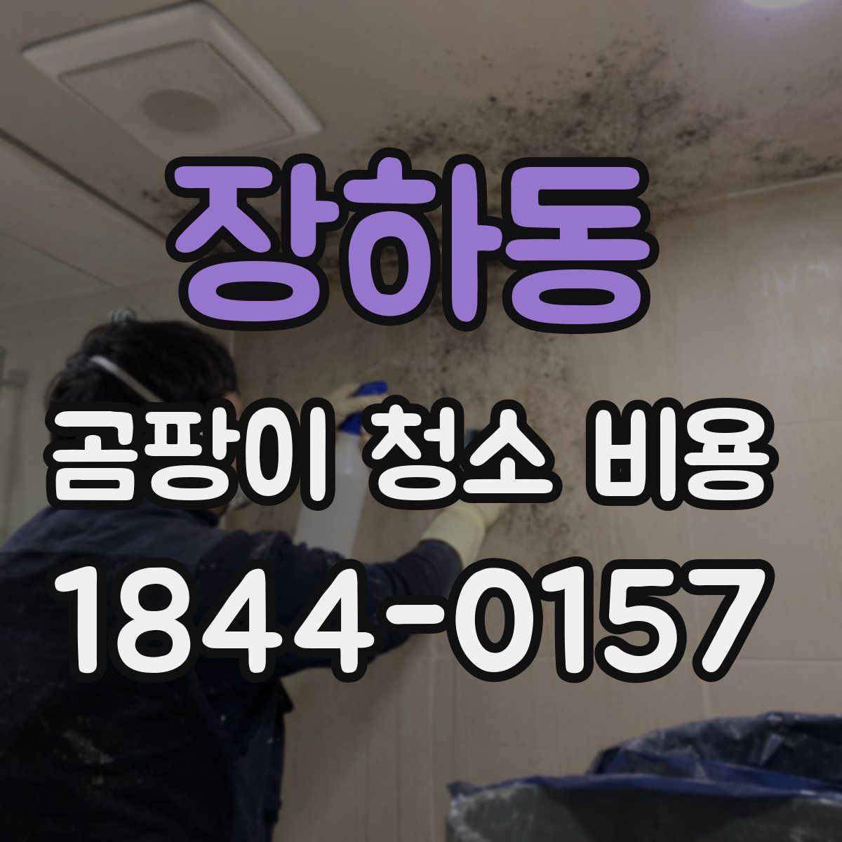 장하동 곰팡이 청소 비용