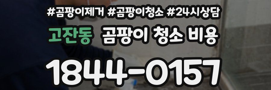 고잔동 곰팡이 청소 비용