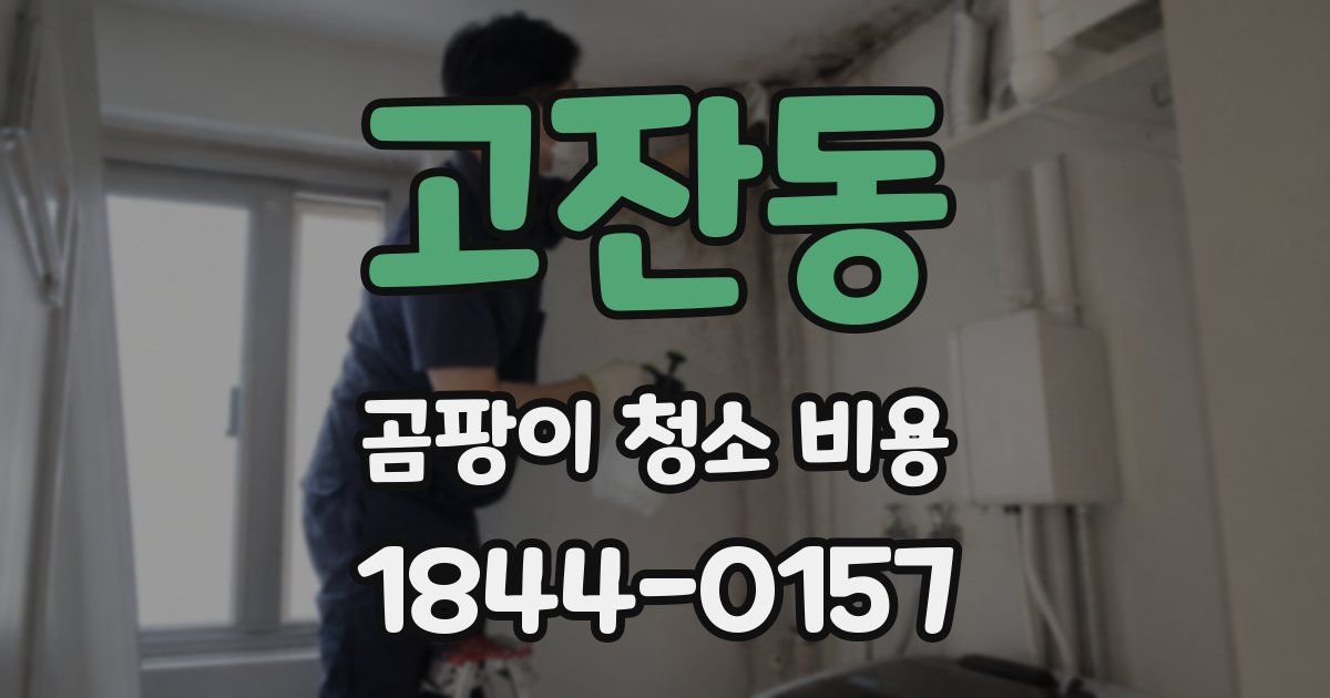 고잔동 곰팡이 청소 비용