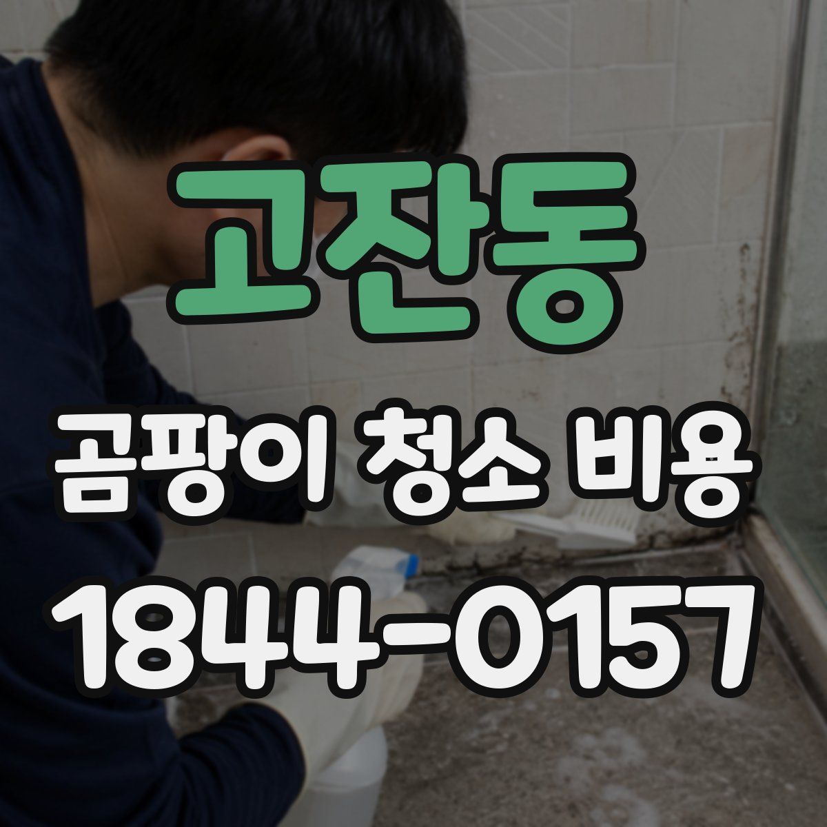 고잔동 곰팡이 청소 비용