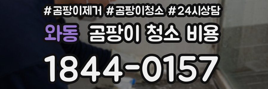 와동 곰팡이 청소 비용